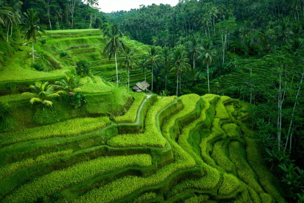 Bali tourist places