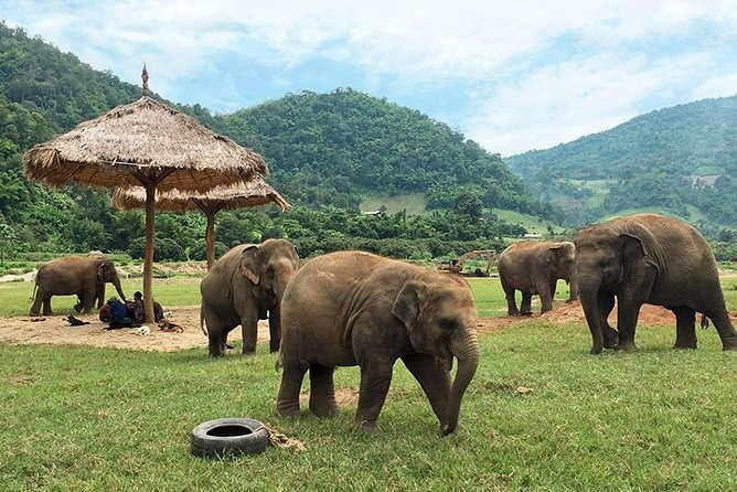 Things to do in Chiang Mai Thailand