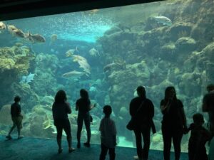 The Florida Aquarium – Tampa Bay